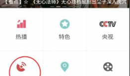 明星吃瓜爆料直播付费软件,揭秘直播付费软件背后的热门爆料